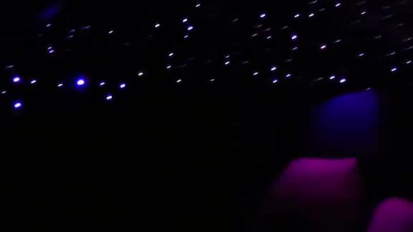 1000 Starlight Headliner